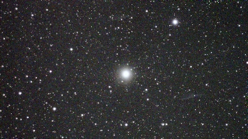 Vega