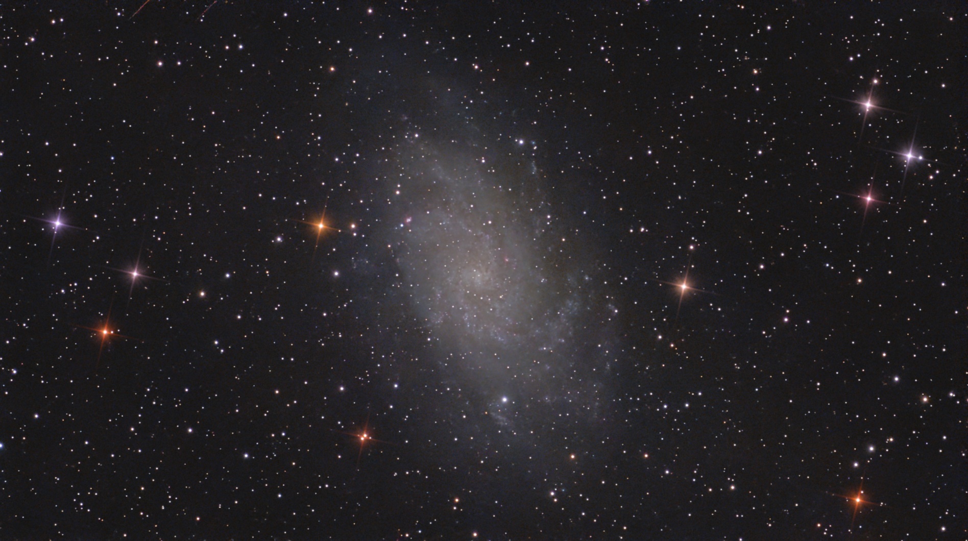 M33