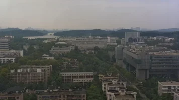 無題の作品